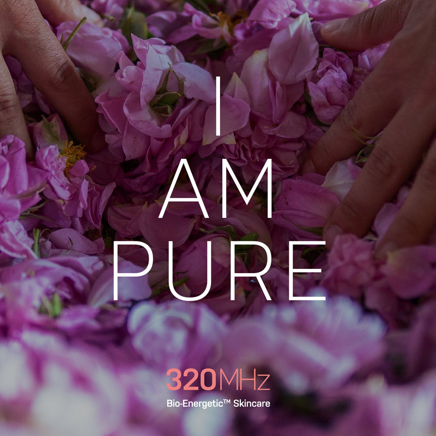 hands touching rose petals with the text overlay "I Am Pure" and the 320mhz logo