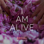 I AM Alive text overlay with rose petals in the background