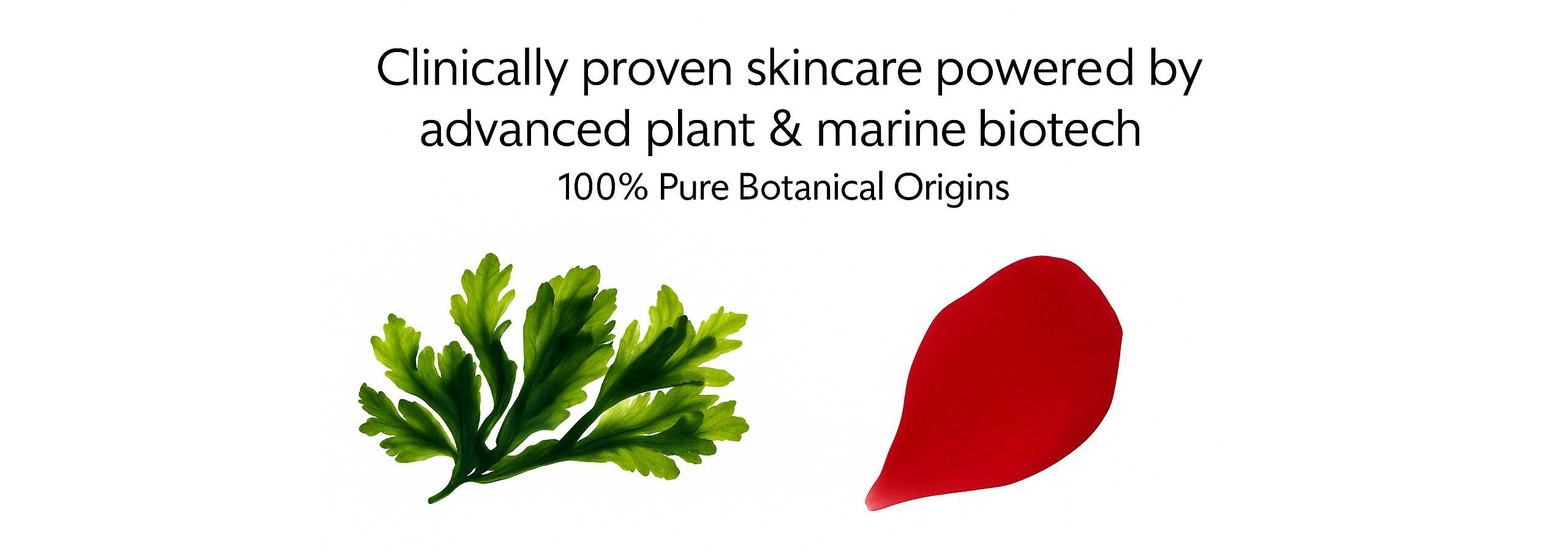 Skincare brand logo with green plant and red leaf illustration on a white background