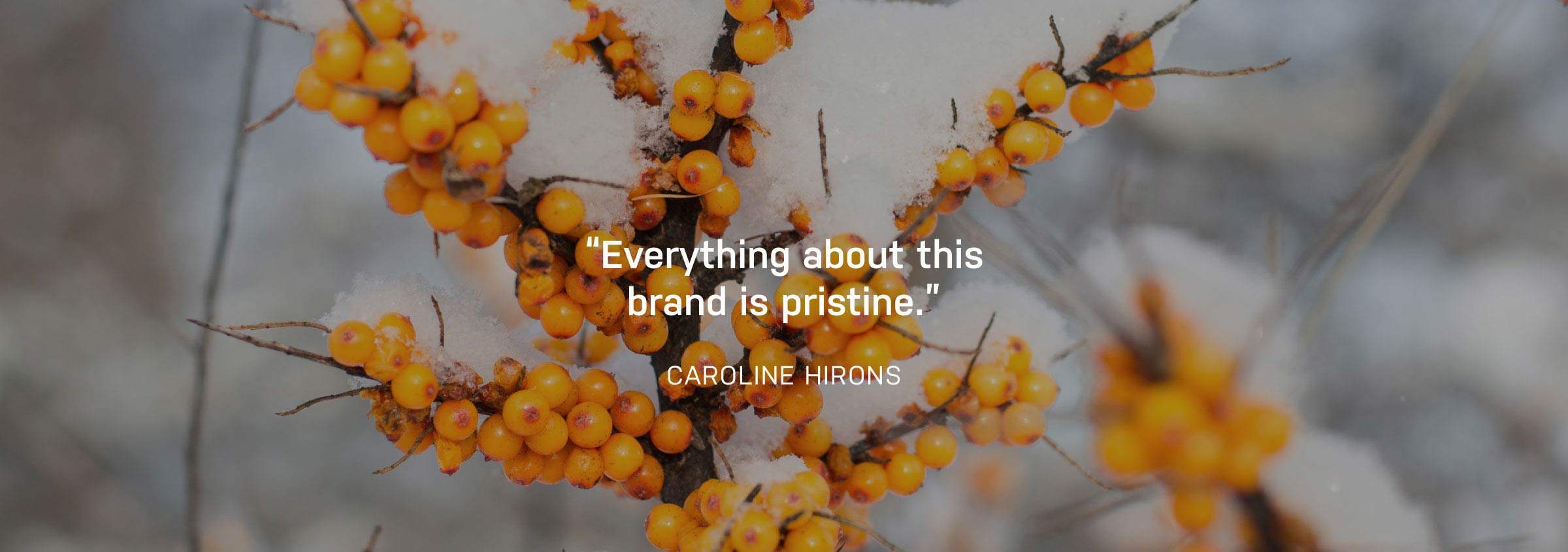 Close-up of yellow berries with a blurred background and a quote by Caroline Aironson.