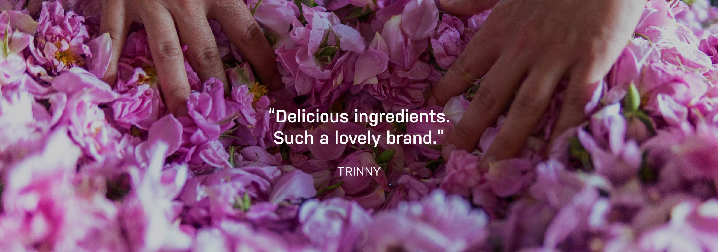 Close-up of pink flowers with hands touching them, featuring a TRINNY brand quote.